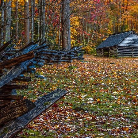 Вилла Bluebearry Patch Гатлинбург Экстерьер фото