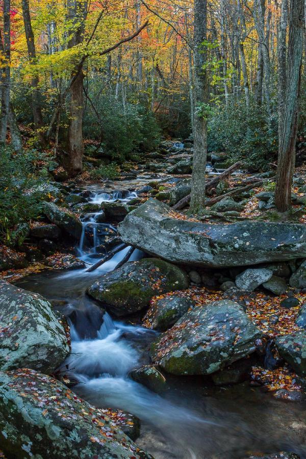 Вилла Bluebearry Patch Гатлинбург Экстерьер фото